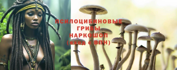 a pvp Арсеньев
