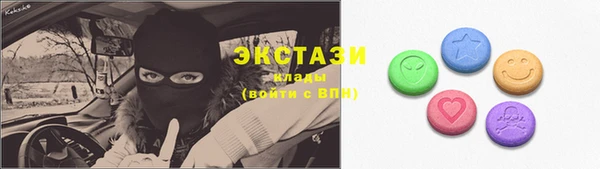 индика Балабаново