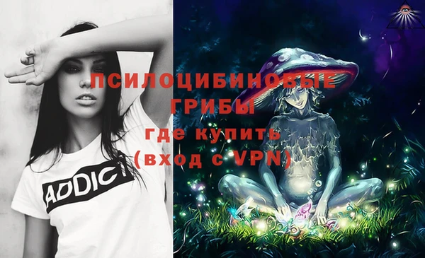 соль ск Аркадак
