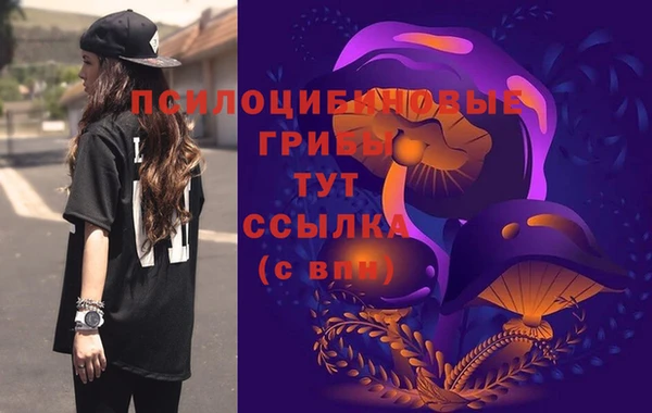 a pvp Арсеньев